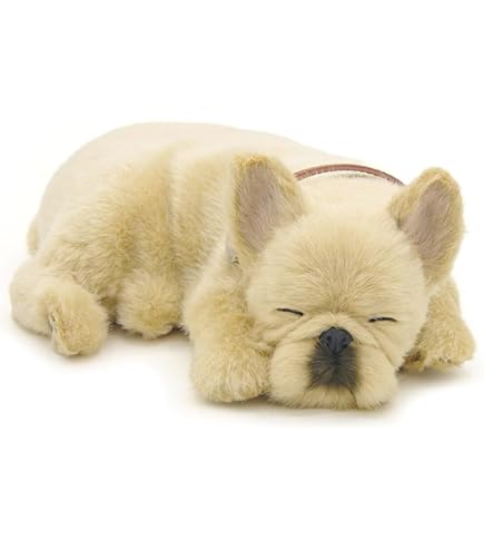 Amazon.co.jp: フレンチブルドッグ ぬいぐるみ 花柄 : おもちゃ